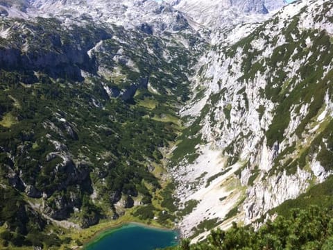 Appartement Helga - Appartement/fewo, Toilette und Bad/dusche Getrennt Apartment in Schladming