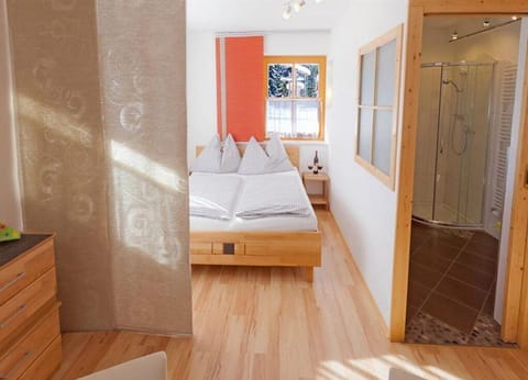 Apartment 1/apartment, shower, WC, 1 bedroom - Appartements Hochegg Apartment in Schladming