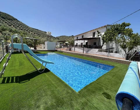 The House