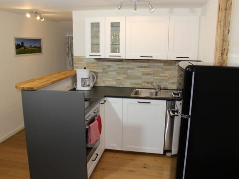 Apartment 2 - 2 bedrooms, shower, WC - Burglehnerhof Farm Stay in Schladming