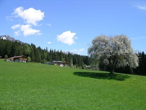 Apartment Apartment in Schladming