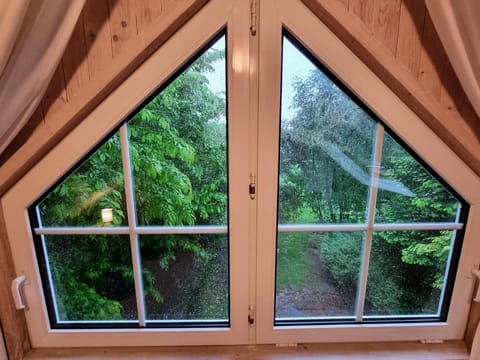 View from the window