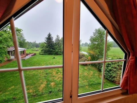 View from the window