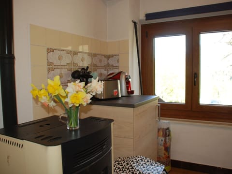 Flower, Property, Cabinetry, Furniture, Building, Houseplant, Plant, Window, Table, Flowerpot