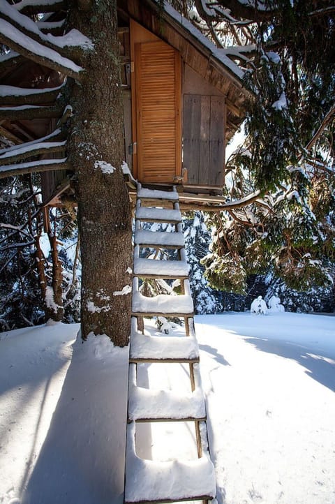 Property, Snow, Nature, Wood, Building, Branch, Twig, House, Architecture, Sunlight