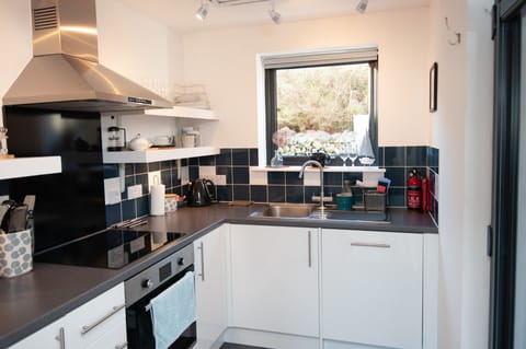 Kitchen with dishwasher and induction hob