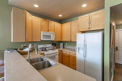 Kitchen with gas stove, microwave, dishwasher and dual-door fridge