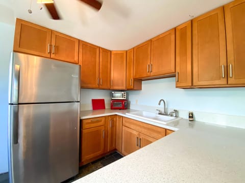 Kitchenette with large counters. Double burner hot plate available for cooking