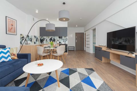 Living room with a comfortable fold-out sofa, TV and kitchenette.