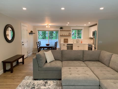 Living area and Kitchen