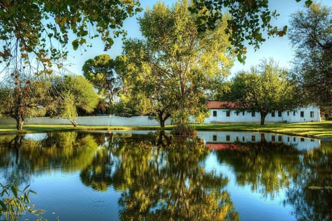 Pond behind the main house.
