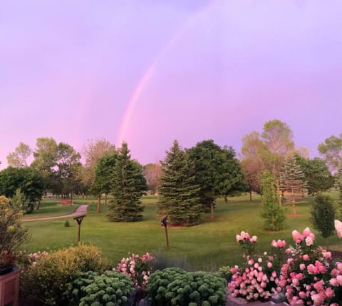 Backyard + New Holstein Park