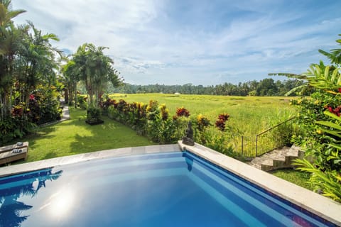 Beautiful rice field views from the pool and patio