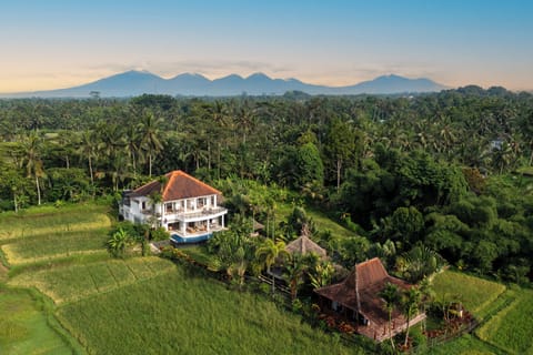 Bird's eye view of the main house, the garden cottage and the Joglo 
