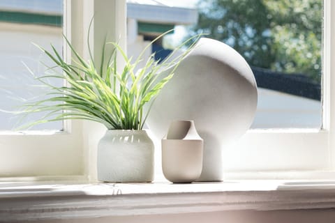 Some greenery to brighten up your day!