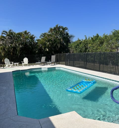 Private pool area surrounded by palm and ficus trees. 