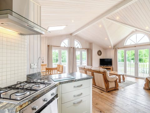 Open plan living space | Acacia Lodge, Mercia Marina, Willington