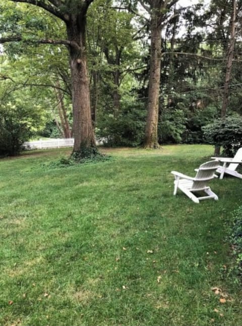 Sit in the Adirondack chairs and sip a drink,  read or birdwatch. 