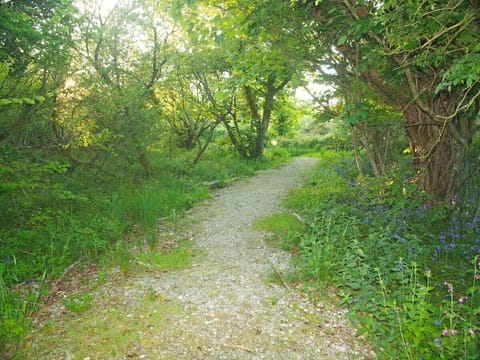 A walk in the resort