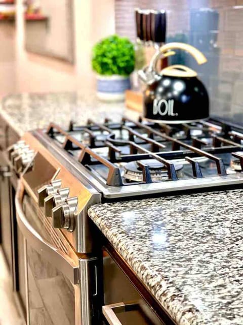 High End Gas Range with touchscreen controls