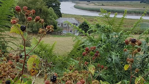Driftwood Cottage and the river beyond