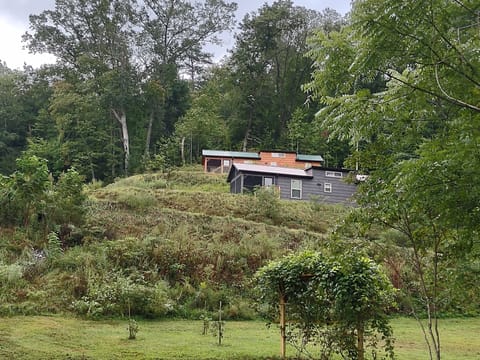the trees have cone in quite a bit since this was taken. lots of privacy!
