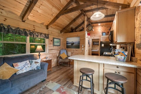 Living room and kitchen