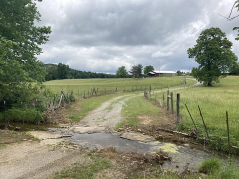 Small creek/water over driveway