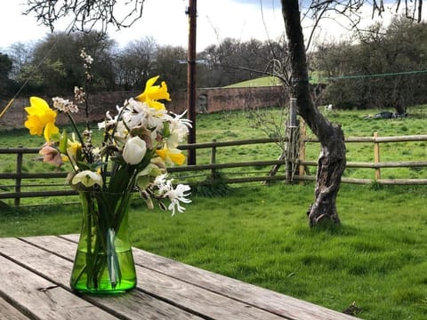 A picnic bench to enjoy breakfast in the garden.