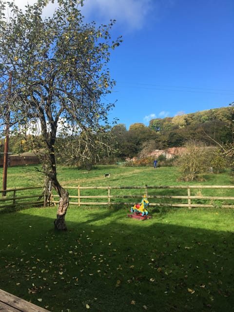 The private garden within the working walled garden of the Georgian Hall.