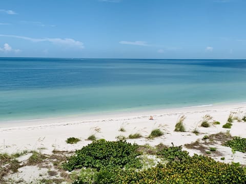 Bonita Beach 
