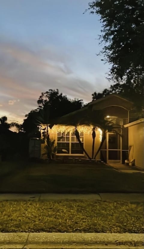 A Florida winter ❄️