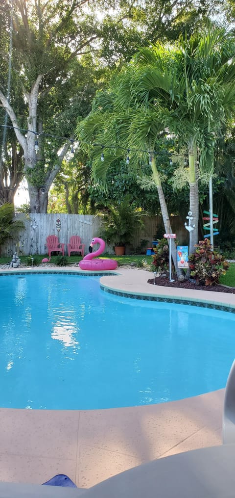 Tropical Paradise