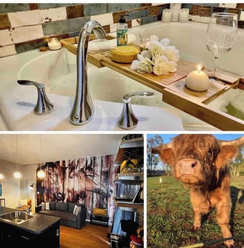 Welcome to the Swedish Cowboy barndominium!
