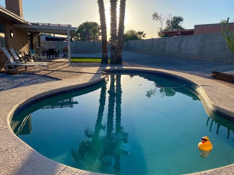 Large backyard with pool , grass and putting green.