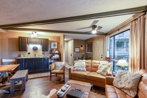 Living Room and Wet Bar
