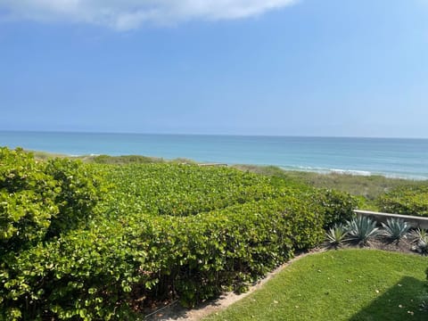 Beautiful Ocean View!