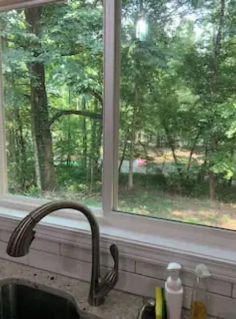 Serene river views from the kitchen sink