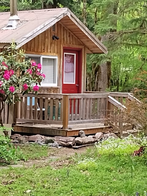 Welcome to the Little Cabin in the Woods!