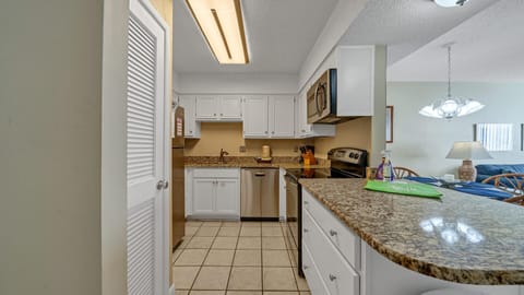 Stainless Steel Appliances in a Well Equipped Kitchen