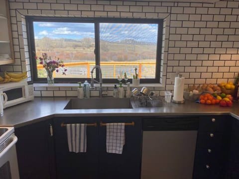 Beautiful views off the kitchen.  New dishwasher