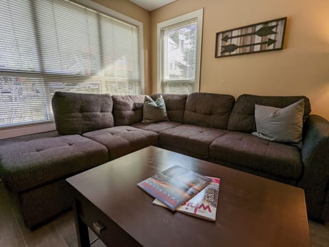Queen Size Pull Out Sofa Bed