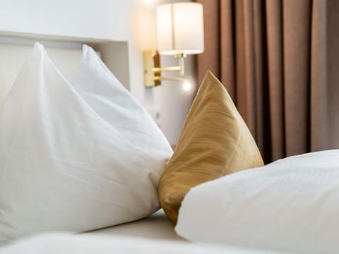 Double room economy with breakfast - Hotel Trumer Stube House in Salzburg