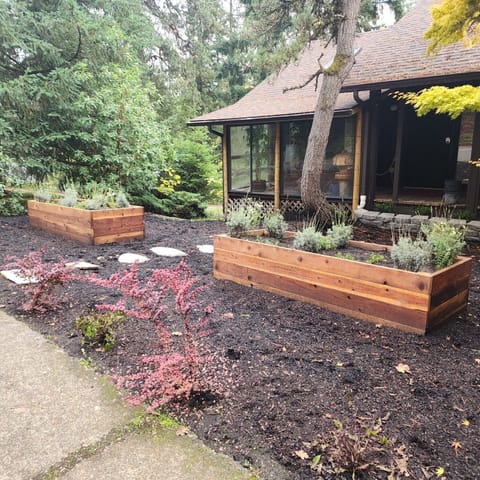 Recently landscaped front yard