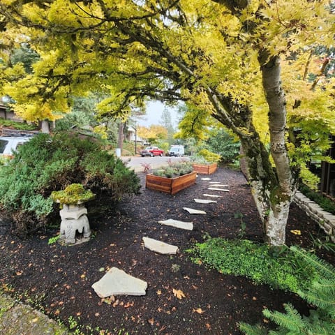 Recently landscaped front yard