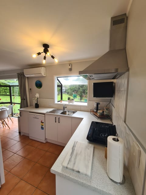 Induction twin cook top with range hood extractor fan and microwave