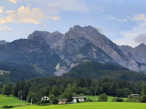 Apartment Berger - Apartment in the house Berger Apartment in Salzburgerland