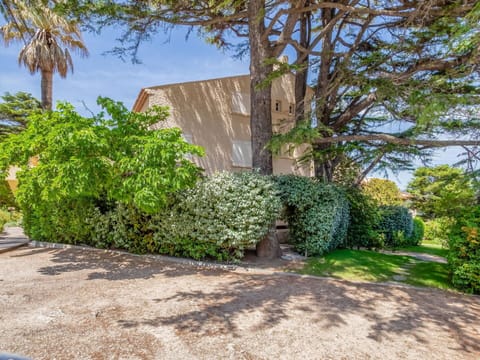 Plant, Sky, Plant Community, Natural Landscape, Land Lot, Tree, Shade, Groundcover, Landscape, Shrub