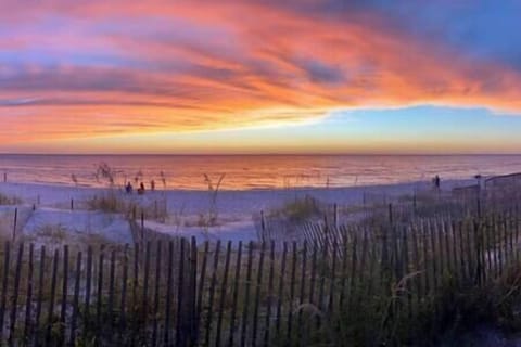 Unforgettable Cotton Candy Skies
