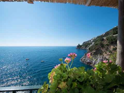 Water, Sky, Plant, Flower, Property, Window, Blue, Azure, Coastal And Oceanic Landforms, Body Of Water